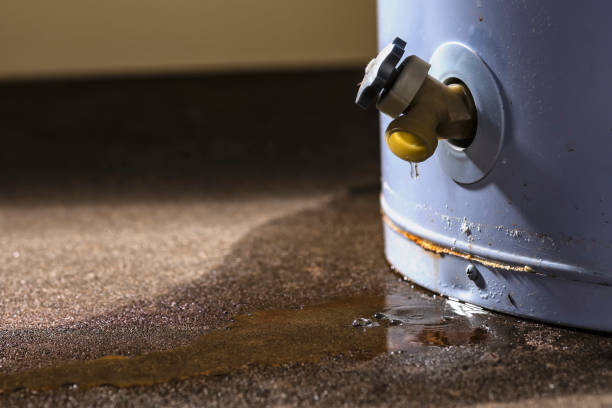 Best Water damage restoration near me  in Bay, AR