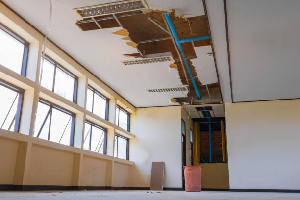 Best Water damage restoration experts  in Bay, AR