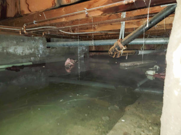 Best Flood damage cleanup  in Bay, AR