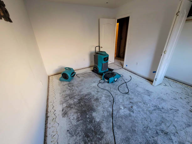 Best Residential water damage restoration  in Bay, AR