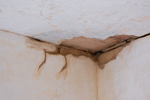 Best Commercial water damage restoration  in Bay, AR