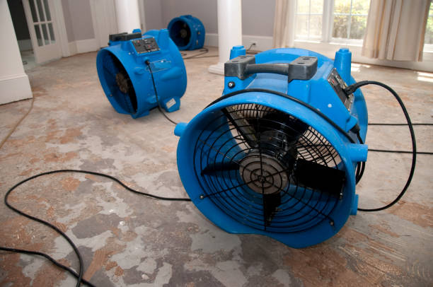 Best 24/7 water damage repair  in Bay, AR