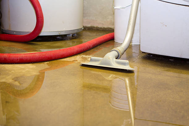 Water damage restoration mold remediation in Bay, AR