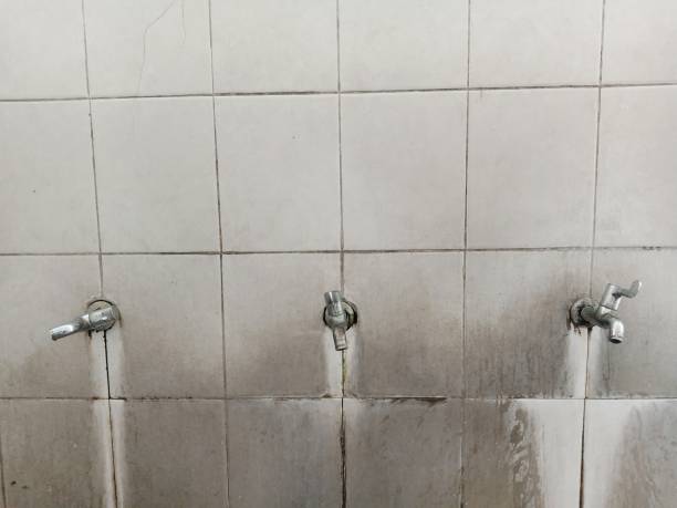 Best Fire Damage Restoration  in Bay, AR