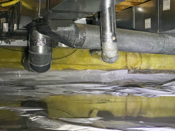 Best Local water damage restoration  in Bay, AR