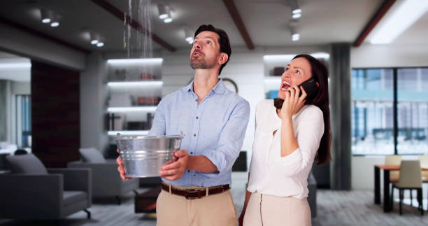 Best Water damage contractors near me  in Bay, AR