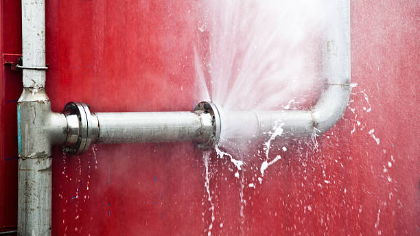 Best Carpet water damage restoration  in Bay, AR
